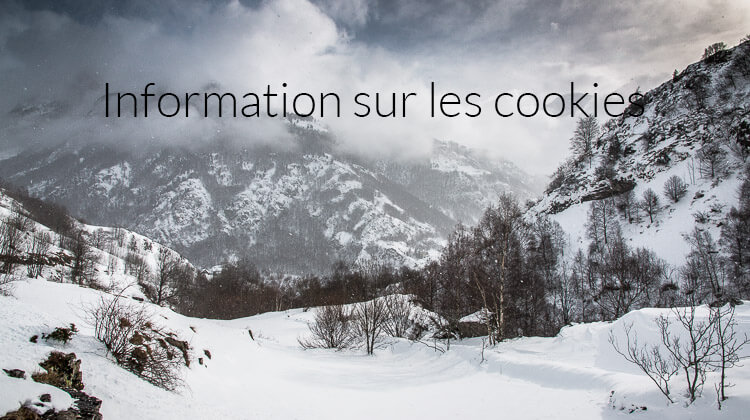 Utilisation des cookies
