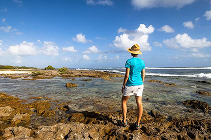 Test et avis Tee shirt Icebreaker Tech Lite Snow Speedster Test : Tee shirt Icebreaker Tech Lite Snow Speedster