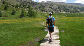 Test et avis Test du pantalon Patagonia Roving Zip-Off Test : Test du pantalon Patagonia Roving Zip-Off