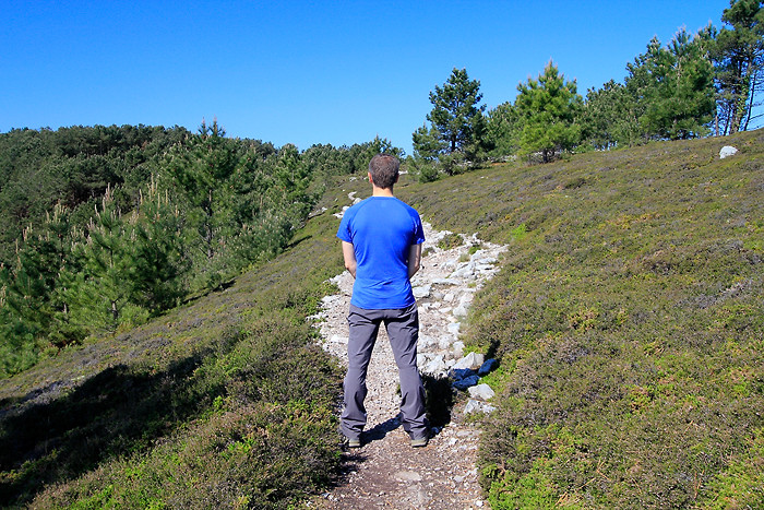 Test du tee-shirt Icebreaker Atlas Homme