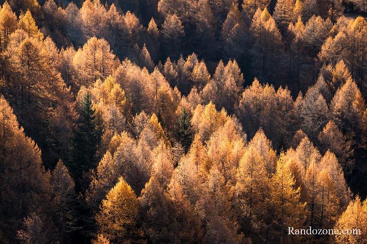 Mlzes  l'automne en Vanoise