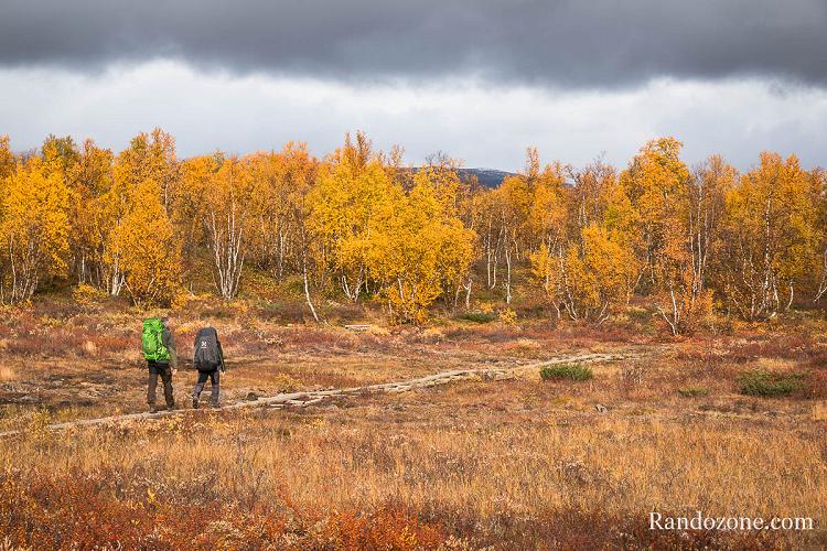 Les couleurs fantastiques de la Laponie en automne