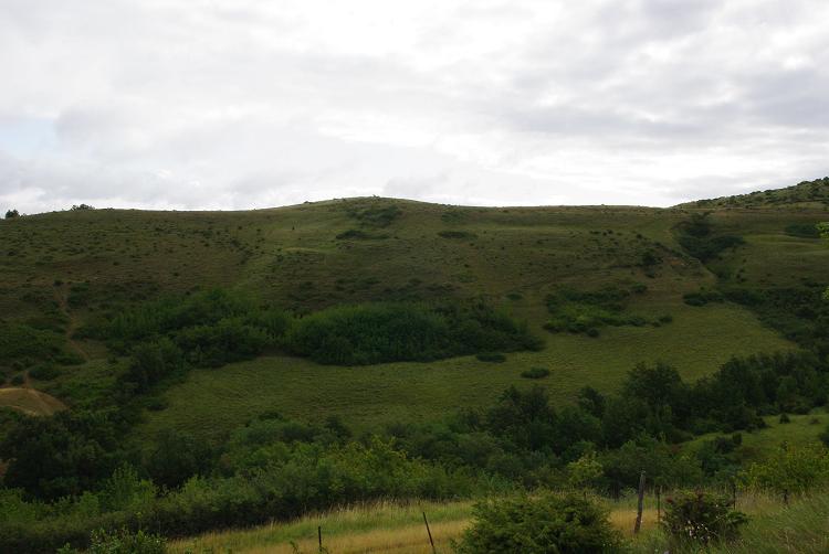 Au domaine Saint Henri (Laurac le Grand)