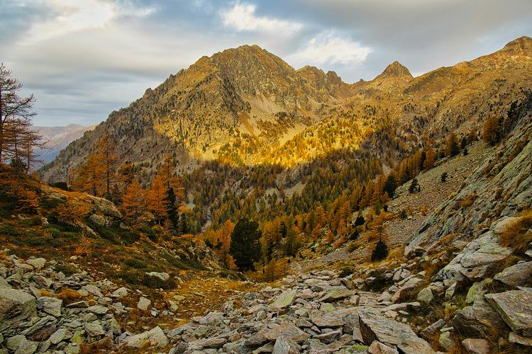 Pr�s du lac de Tr�colpas, Saint-Martin-V�subie