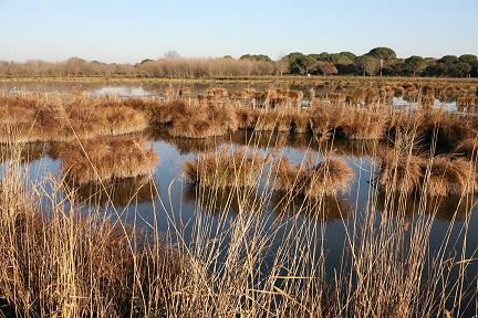 Une nouvelle édition du cartoguide Des Costières à la Camargue gardoise Actualité : Une nouvelle édition du cartoguide Des Costières à la Camargue gardoise