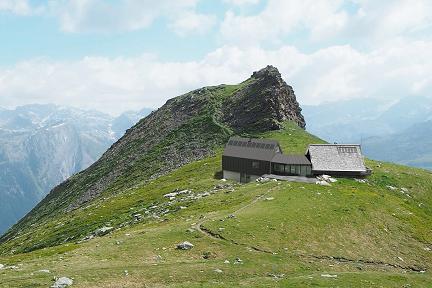 Le refuge de Turia fait peau neuve : une année 2025 consacrée à sa métamorphose complète Actualité : Le refuge de Turia fait peau neuve : une année 2025 consacrée à sa métamorphose complète