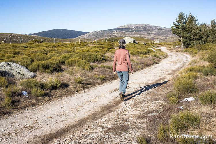 Test de la veste polaire Patagonia R1 Thermal dans les Cvennes
