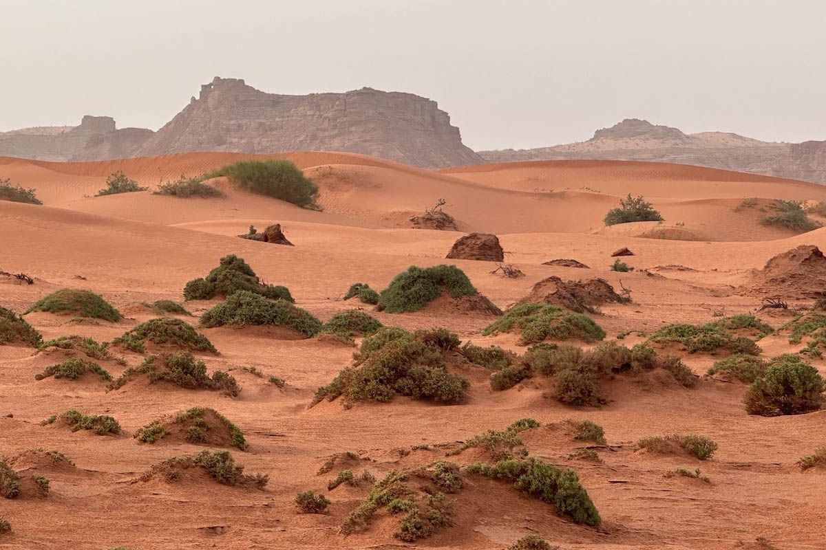 Dcouvrez La Boucle de l'toile : Un dfi inoubliable dans le dsert Marocain