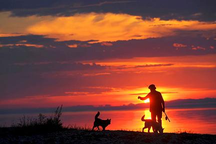Actualit&eacute; : Les photos de l�aventure de Sylvain Tesson en Sib�rie