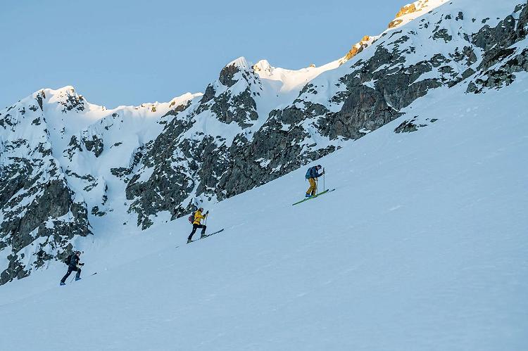 Fran�ois-Guillermet