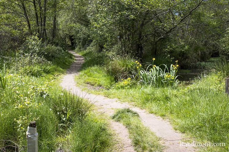 Sentier facile autour de l'tang d'Aureilhan