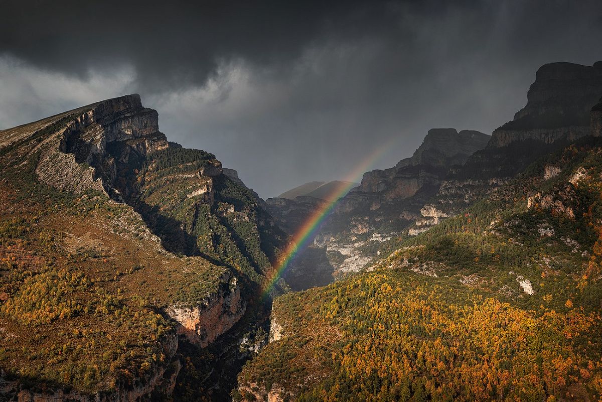 Photo : Maxime Daviron / Terres Perdues