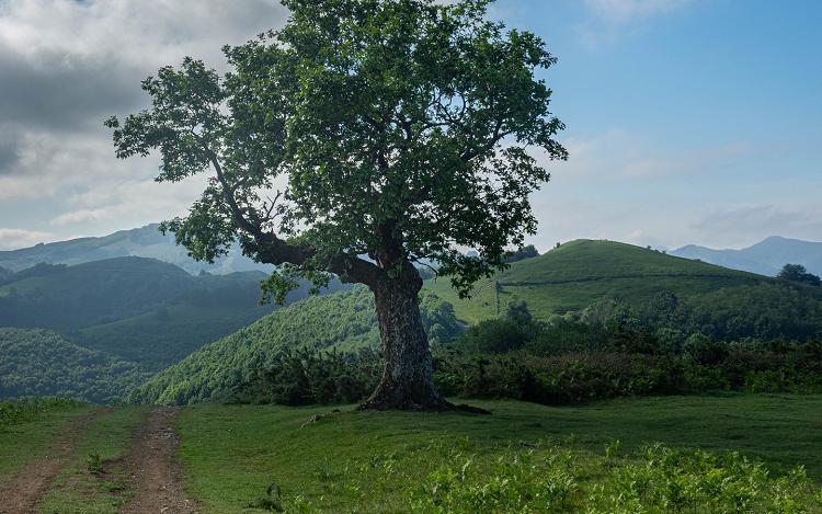Randonne Ibanteli - Crdit photo : B. Valcke