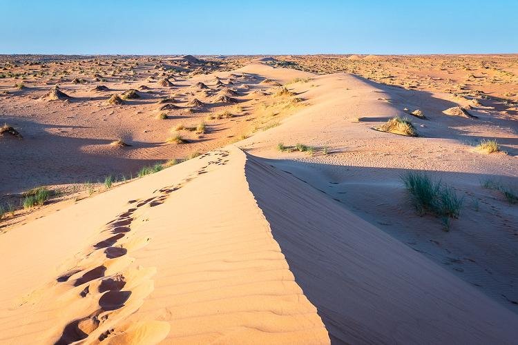 Trek dans le d�sert en Mauritanie