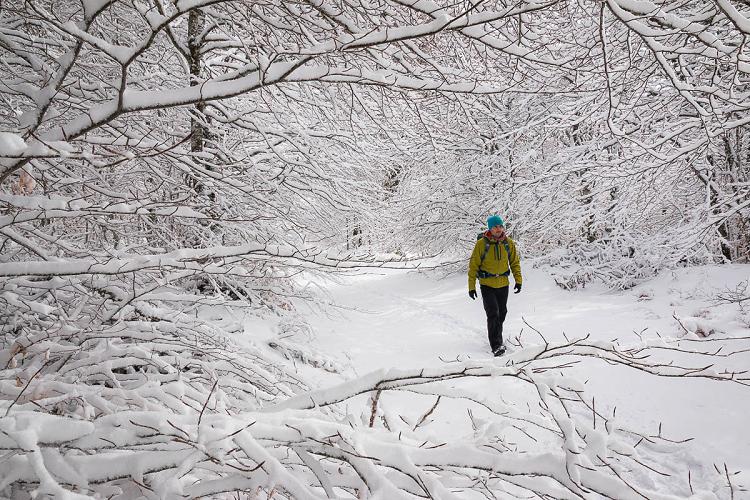 Doudoune Arc'Teryx Atom LT Hoody sur le plateau de l'Aubrac en hiver Doudoune Arc'Teryx Atom LT Hoody sur le plateau de l'Aubrac en hiver