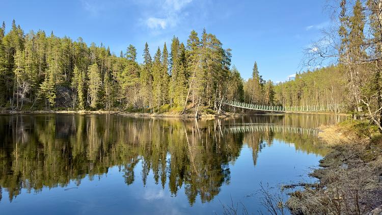 Pont suspendu Harrisuvanto le long du sentier Karhunkierros � Kuusamo, Finlande
