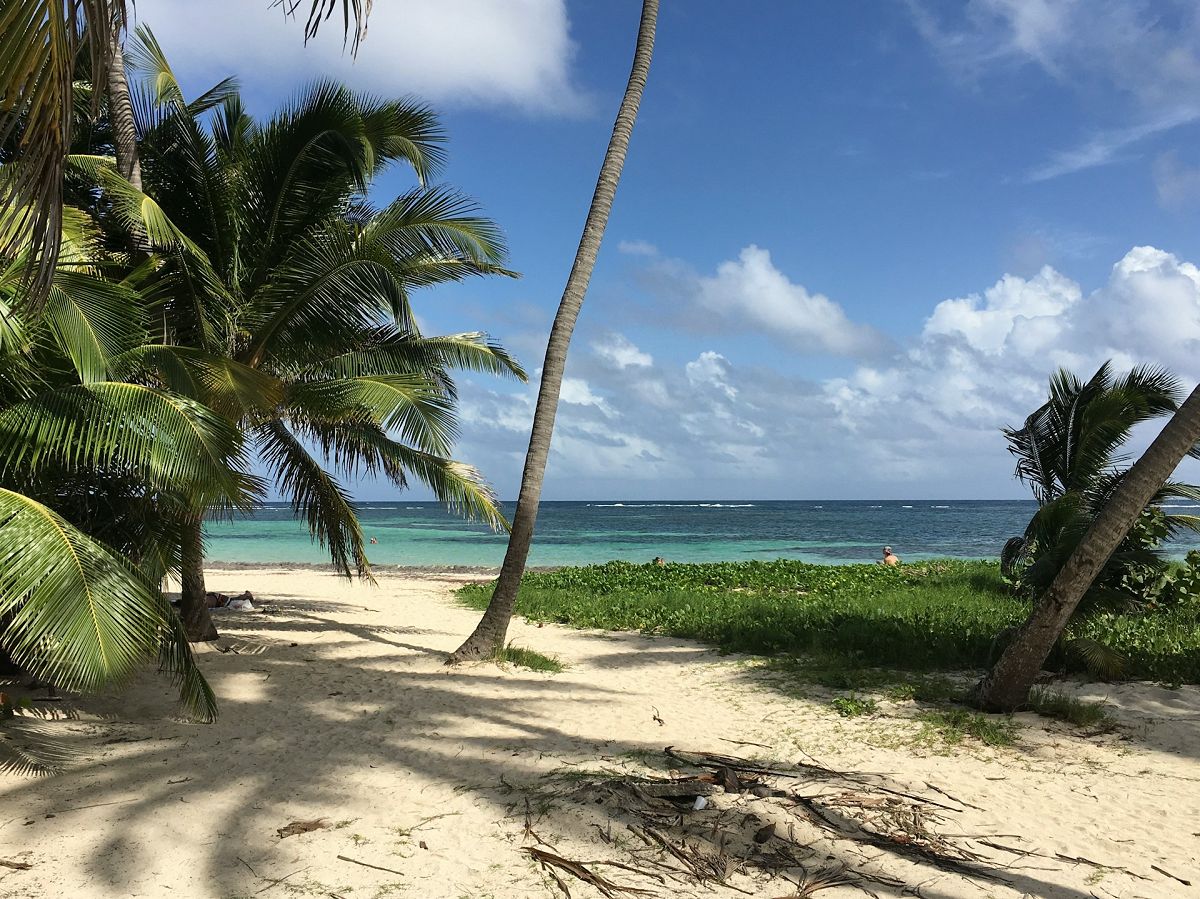 Guide de la randonn&eacute;e et du trekking en Martinique