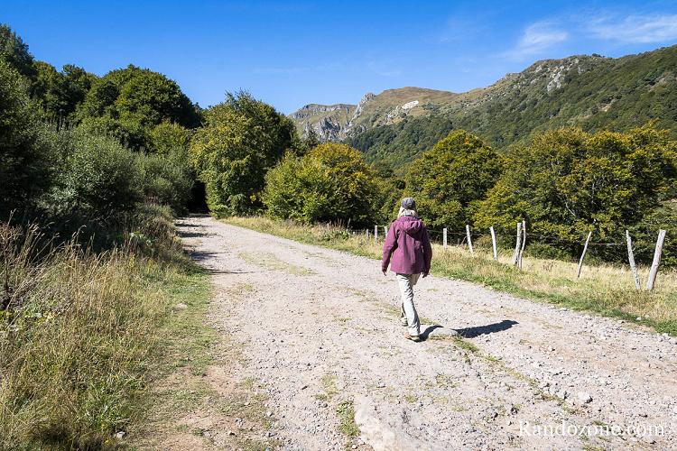 Test de la veste Patagonia Nano-Air® Light Hoody en Auvergne Test de la veste Patagonia Nano-Air® Light Hoody en Auvergne