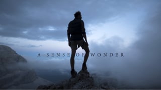 Vido : A Sense of Wonder