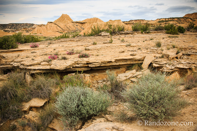 Randonnée Piskerra dans le désert des Bardenas