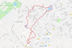 Balade prs de Pessac