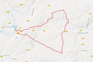 Le baudet du Poitou Miniature