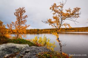 Randonn�e au lac Vuolip Nj�hkajavri