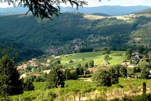 Circuit rando CDF01 : La seigneurie du Ban de la Roche