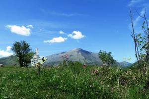 N27 Tour du Poey