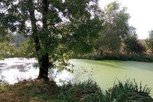 La Rand'eau Miniature