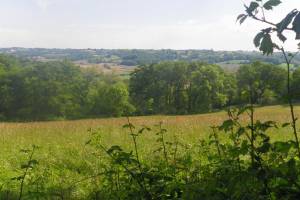 Louvigny : promenade Henri IV
