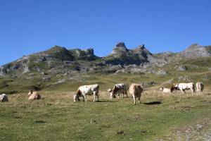 Randonne dans le cirque d'Anou