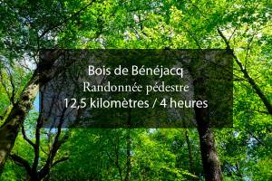 Bois de Bénéjacq