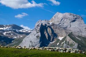 GRP Tour de la Valle d'Ossau - Etape Col d'Aubisque - Gourette - Eaux-Bonnes