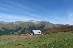 Les crtes d'Andreyt au col d'Aubisque en Valle d'Ossau