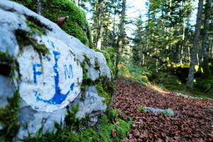 N45 Chemin de Mture d'Issaux