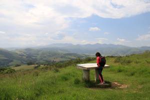 Haranbeltz eta Soihartze