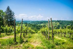 Laroin - Boucle du Couday