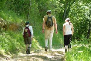 S�vignacq : sentier des vieux moulins (petite boucle n�18)