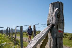 De Esterençuby au col de Bagargiak