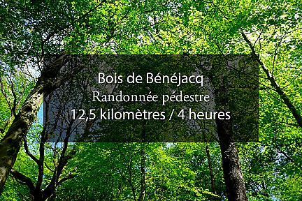 Chemin Henri IV et bois de Bénéjacq : une boucle nature à deux pas de Nay Actualité : Chemin Henri IV et bois de Bénéjacq : une boucle nature à deux pas de Nay