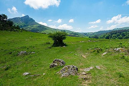 Circuit des palombières : immersion entre forêts et patrimoine basque Actualité : Circuit des palombières : immersion entre forêts et patrimoine basque