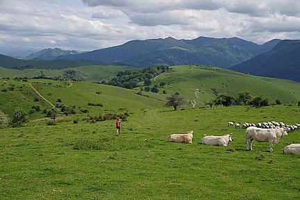 Othegañe : Panorama secret sur les vallées basques Actualité : Othegañe : Panorama secret sur les vallées basques