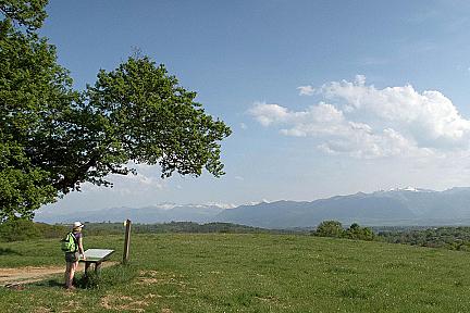 À la découverte des Marlères : nature, histoire et belvédère sur les Pyrénées Actualité : À la découverte des Marlères : nature, histoire et belvédère sur les Pyrénées