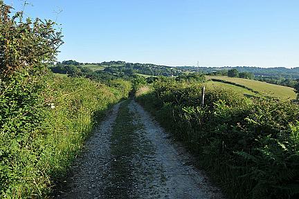 Balade panoramique sur la colline d'Elizaberri : immersion familiale à Mouguerre Actualité : Balade panoramique sur la colline d'Elizaberri : immersion familiale à Mouguerre