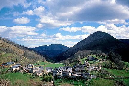 Balade sauvage au cœur d'Etchebar : entre forêt, histoire et panoramas Actualité : Balade sauvage au cœur d'Etchebar : entre forêt, histoire et panoramas