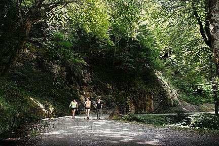 Marche nordique accessible : parcours découverte depuis l'Office de Tourisme à Eaux-Bonnes Actualité : Marche nordique accessible : parcours découverte depuis l'Office de Tourisme à Eaux-Bonnes