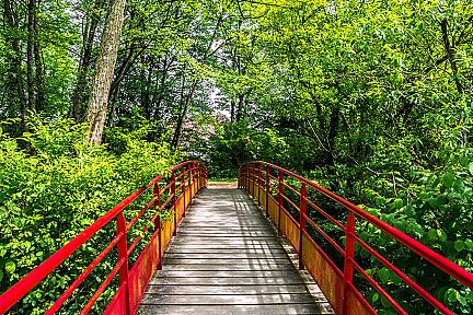 Balade facile à Lons : le circuit du Lanot, entre ville et nature Actualité : Balade facile à Lons : le circuit du Lanot, entre ville et nature