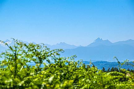 Boucle du Trou du Loup : Une balade incontournable au coeur du Béarn Actualité : Boucle du Trou du Loup : Une balade incontournable au coeur du Béarn