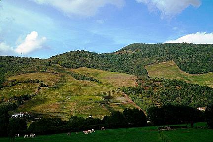 Actualité : Table d'orientation d'Etchaine: un panorama saisissant sur l'Arradoy, la Nive et les sommets d'Errozate  Urkulu